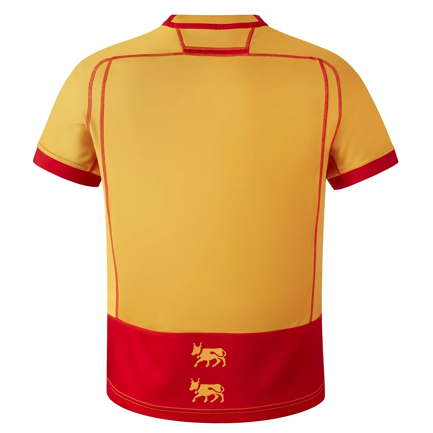 Maillot Territoire Supersevens - 2025/2026 - Image 4